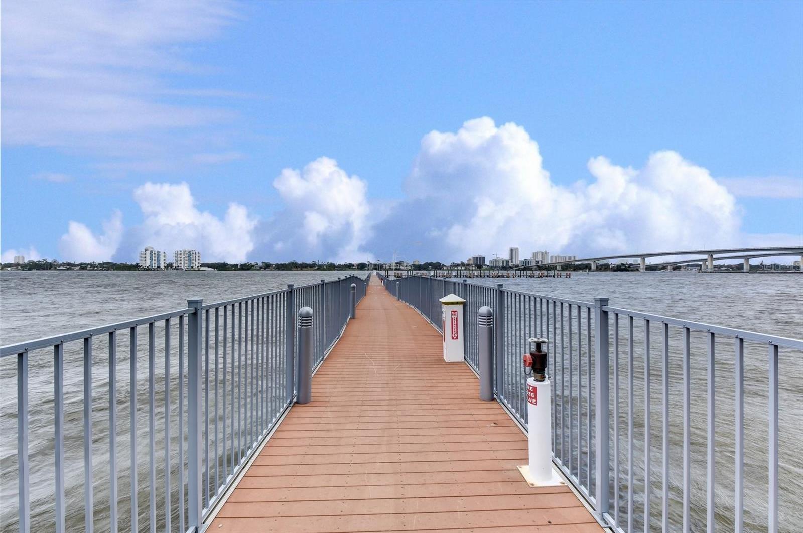 Photo #15