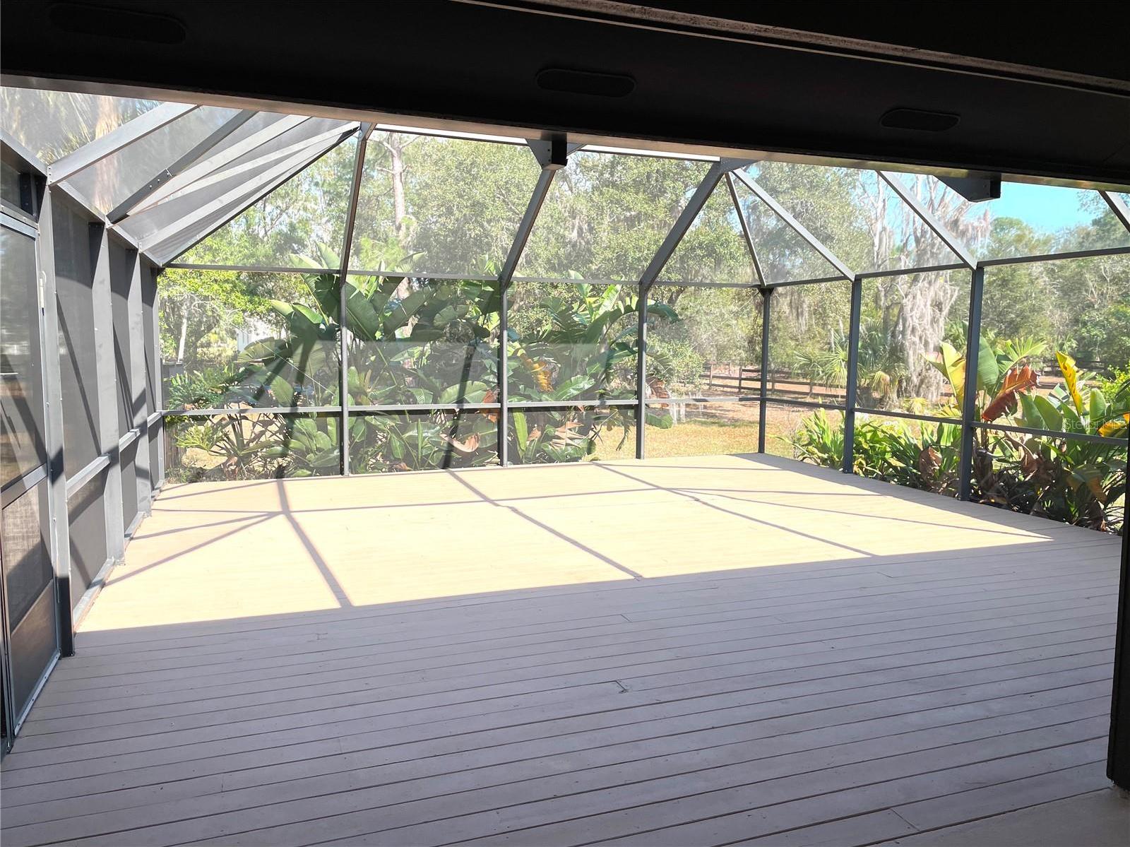 Photo #38
