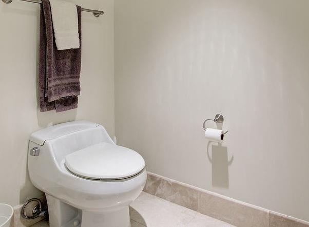 Photo #13
