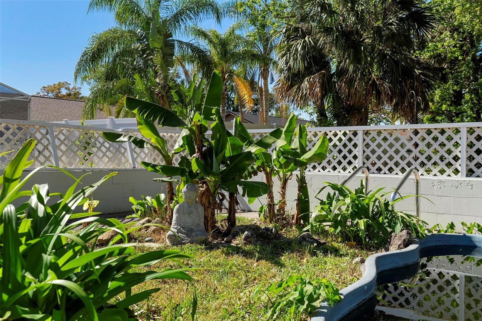 Photo #49