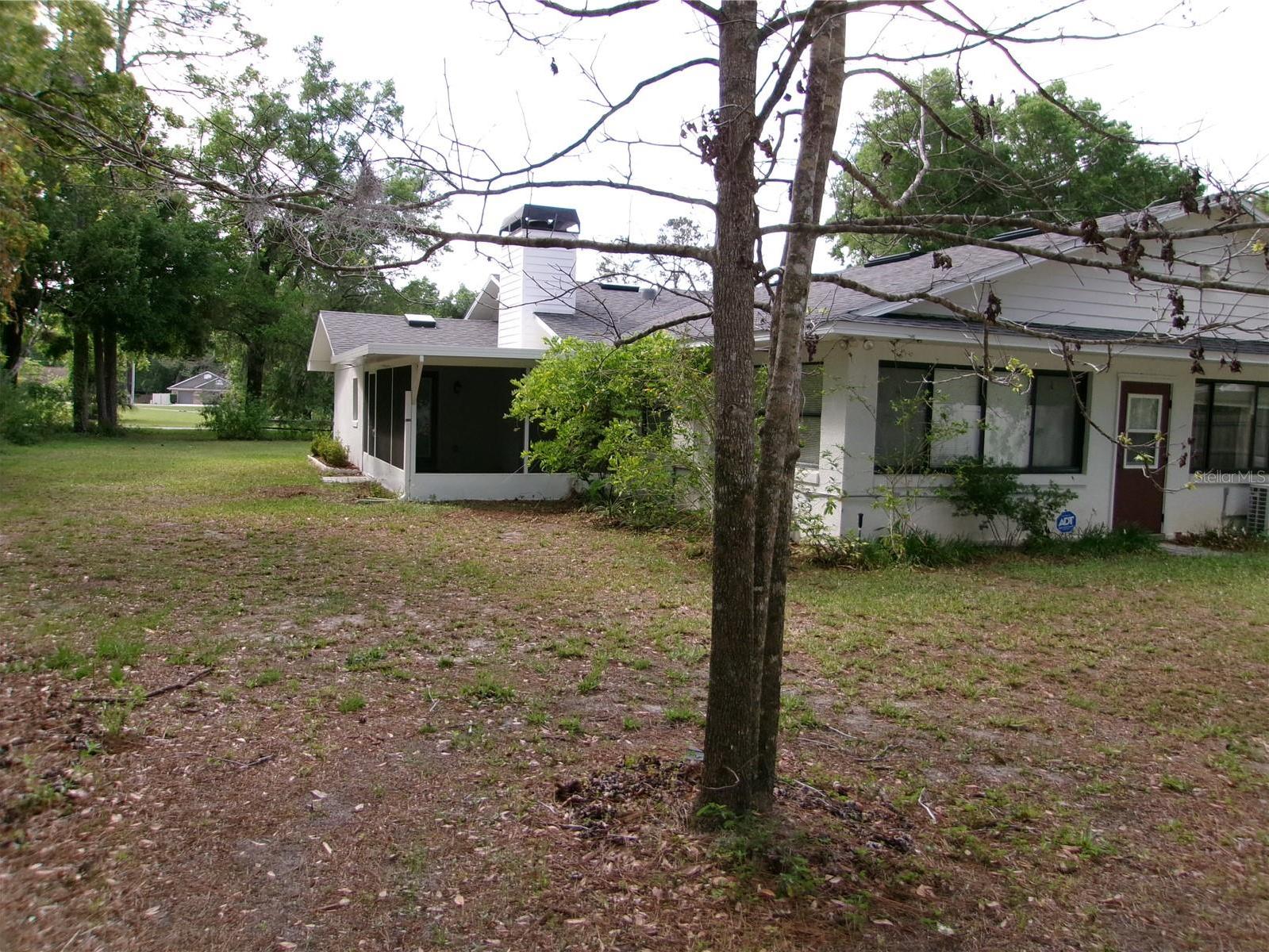 Photo #6