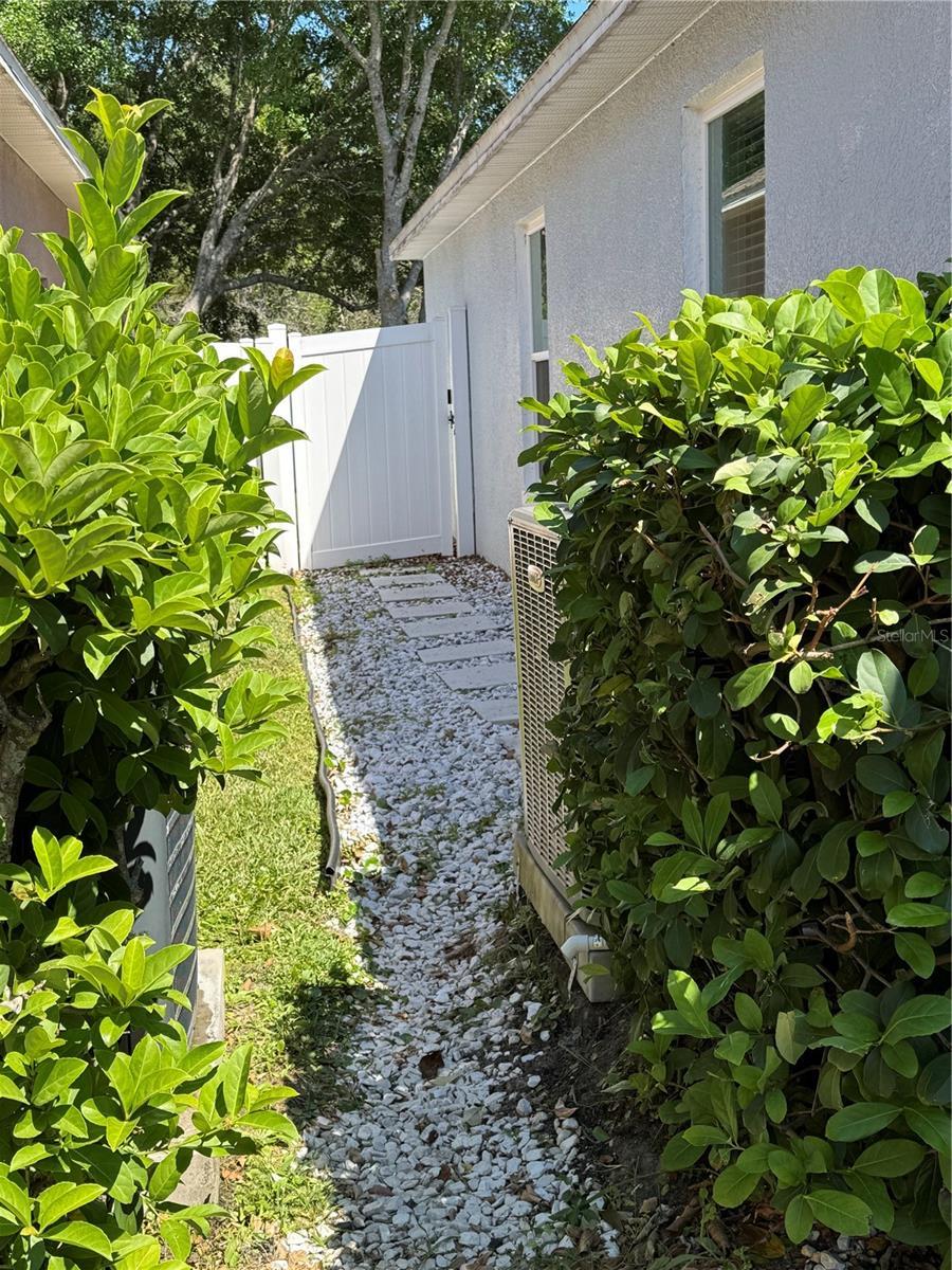 Photo #48