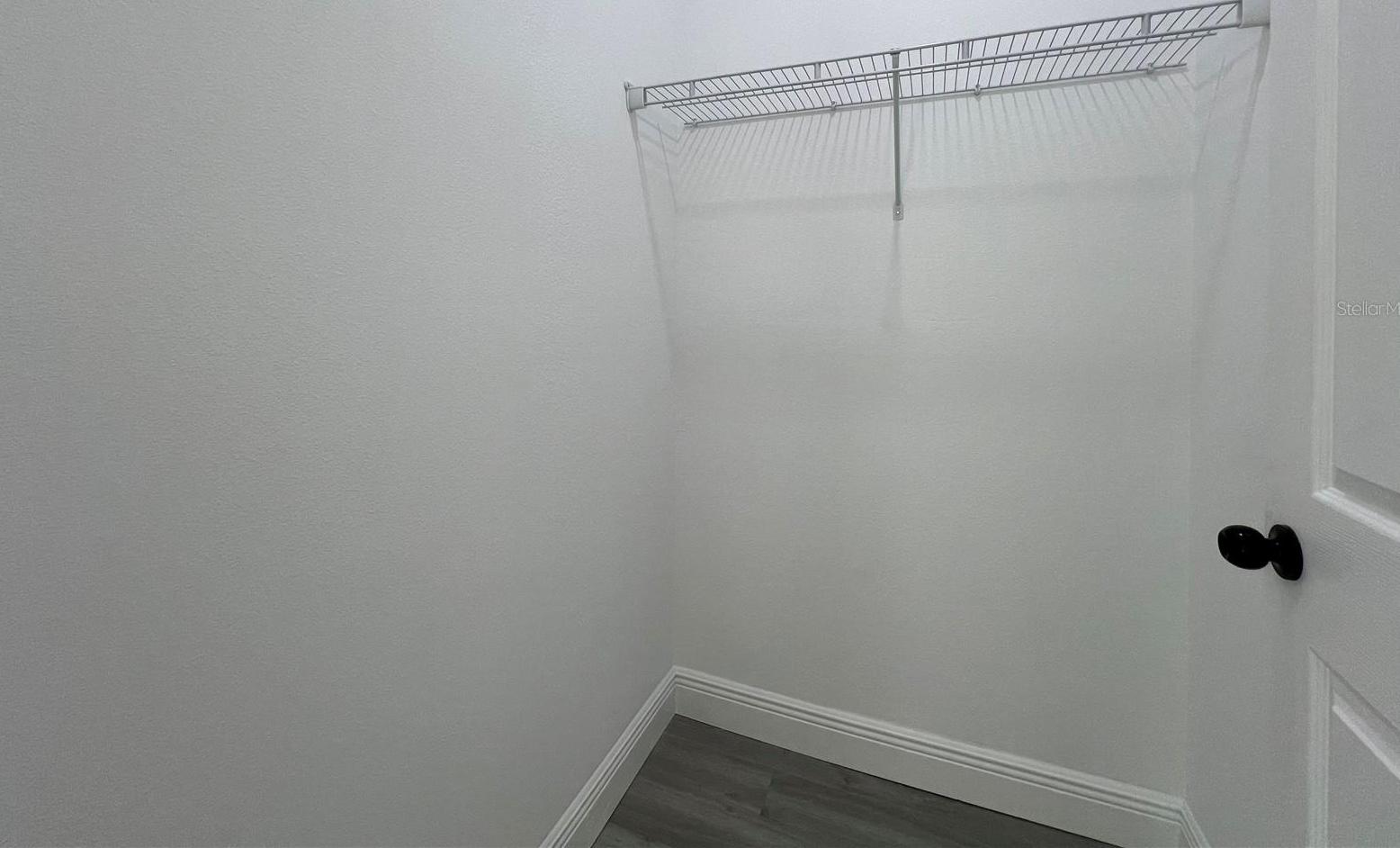 Photo #11