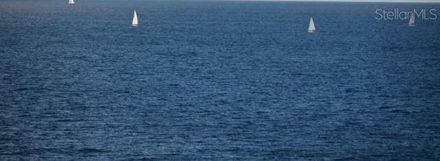Photo #43