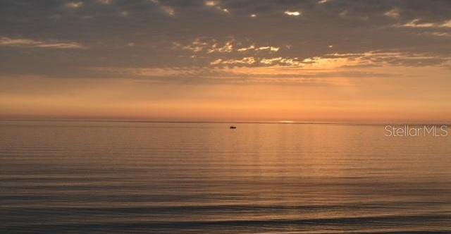 Photo #46