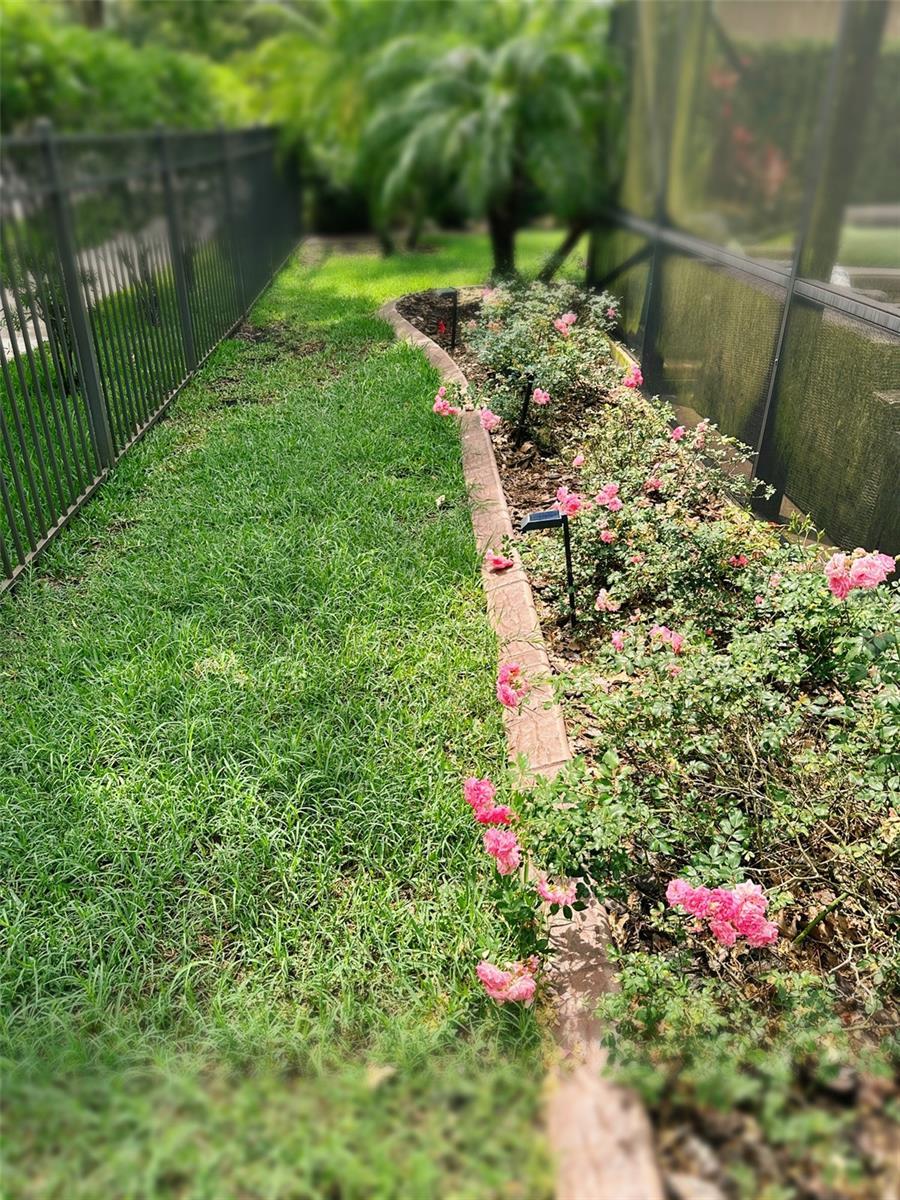 Photo #43
