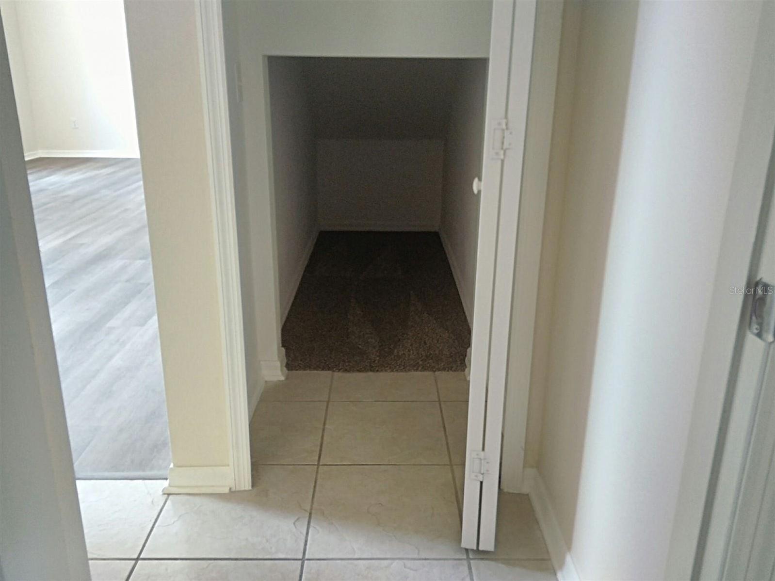 Photo #16