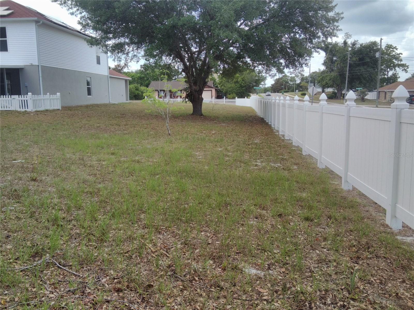 Photo #35
