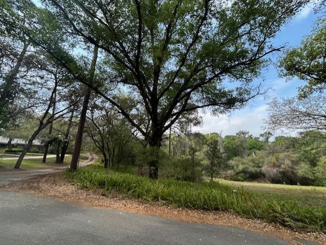 Photo #4