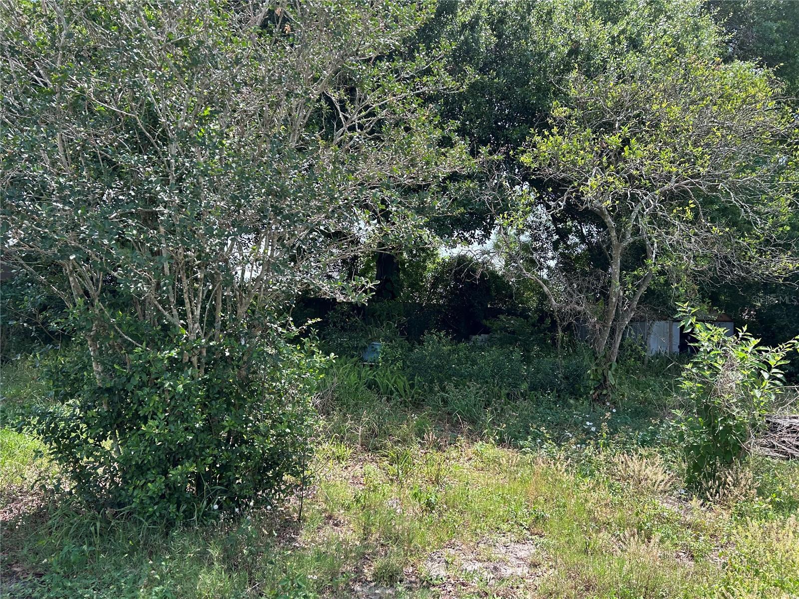 Photo #22