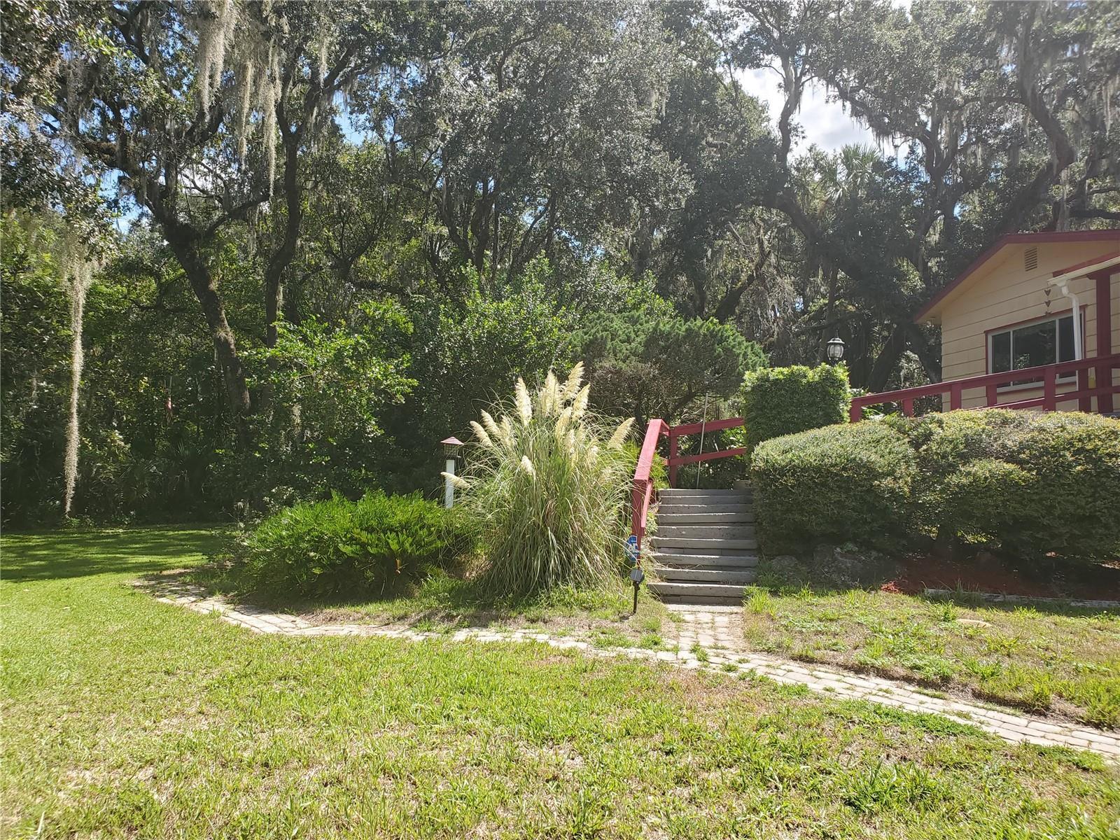 Photo #61