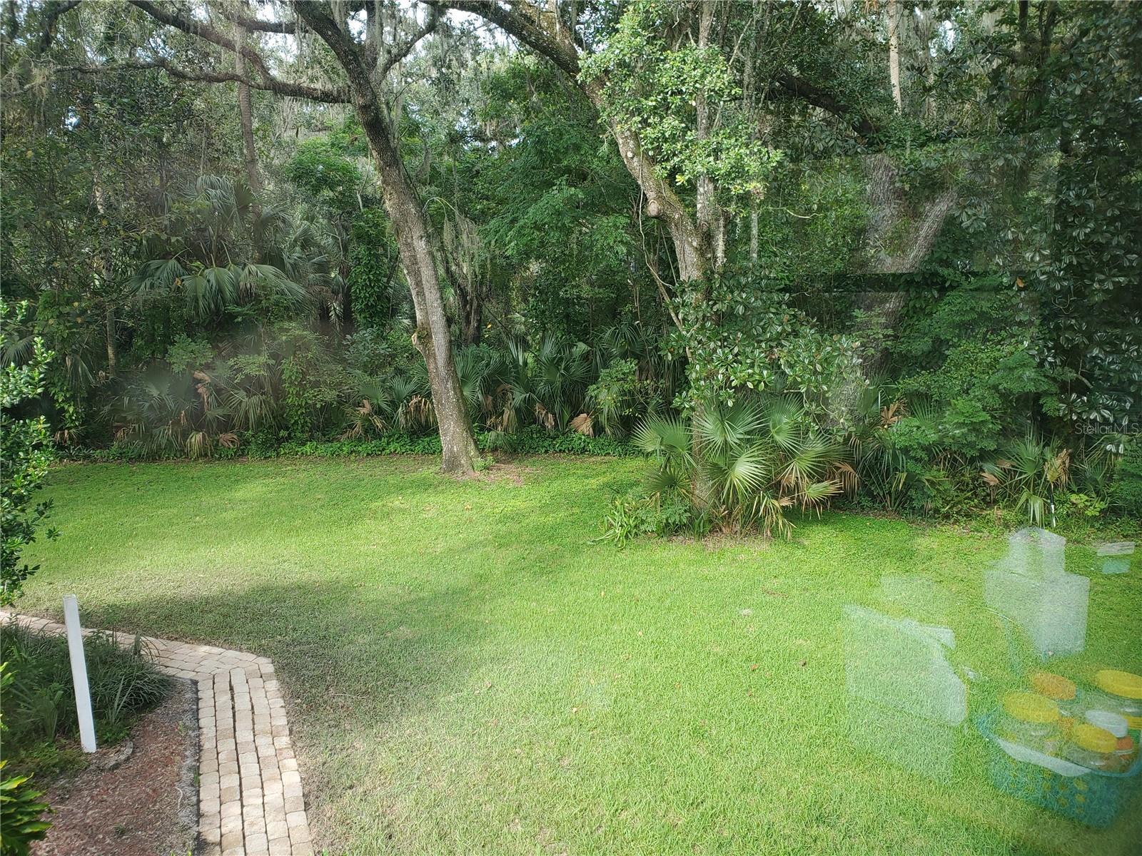 Photo #59