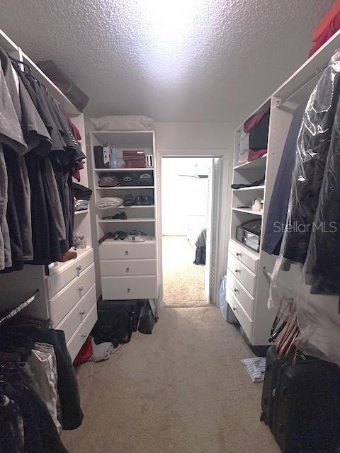 Photo #28