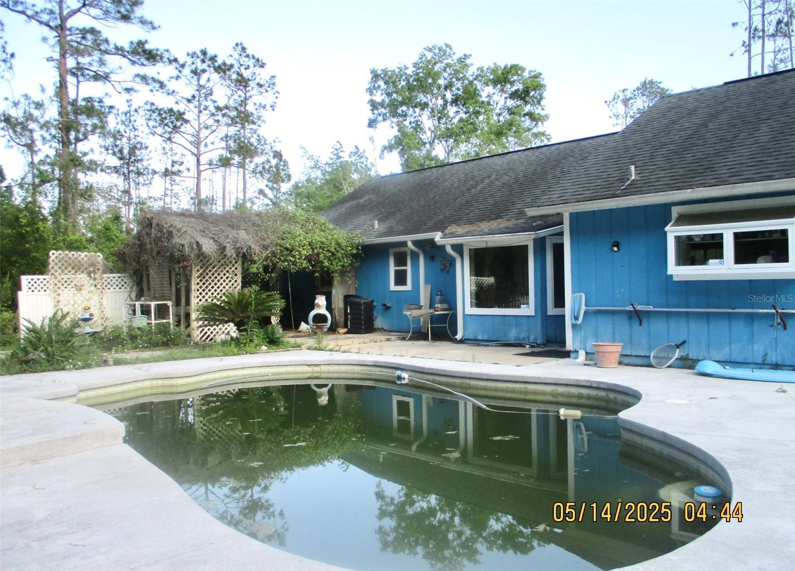 Photo #11