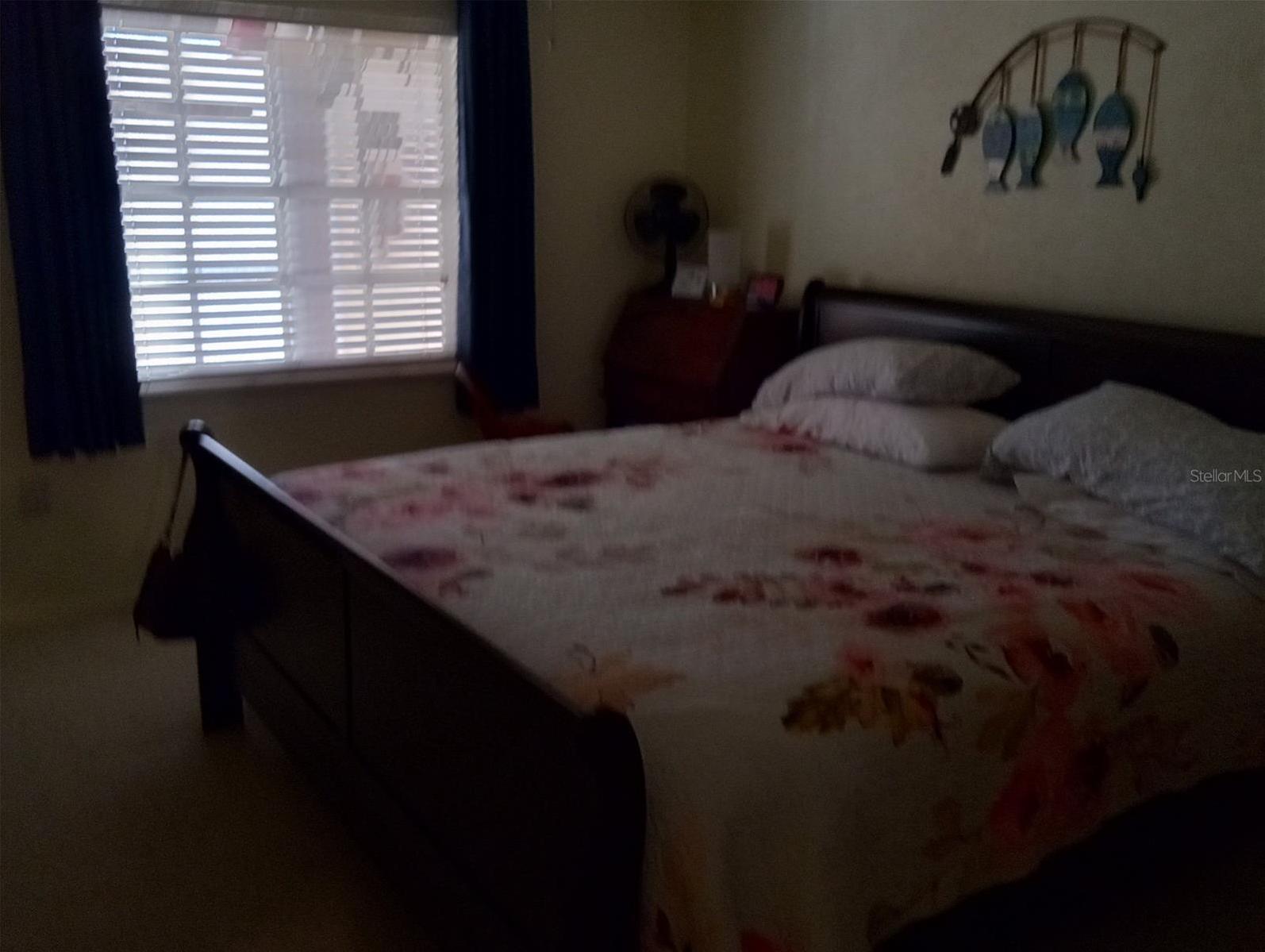 Photo #11