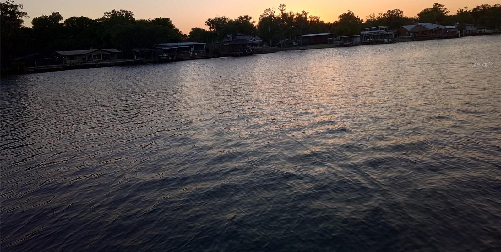 Photo #15