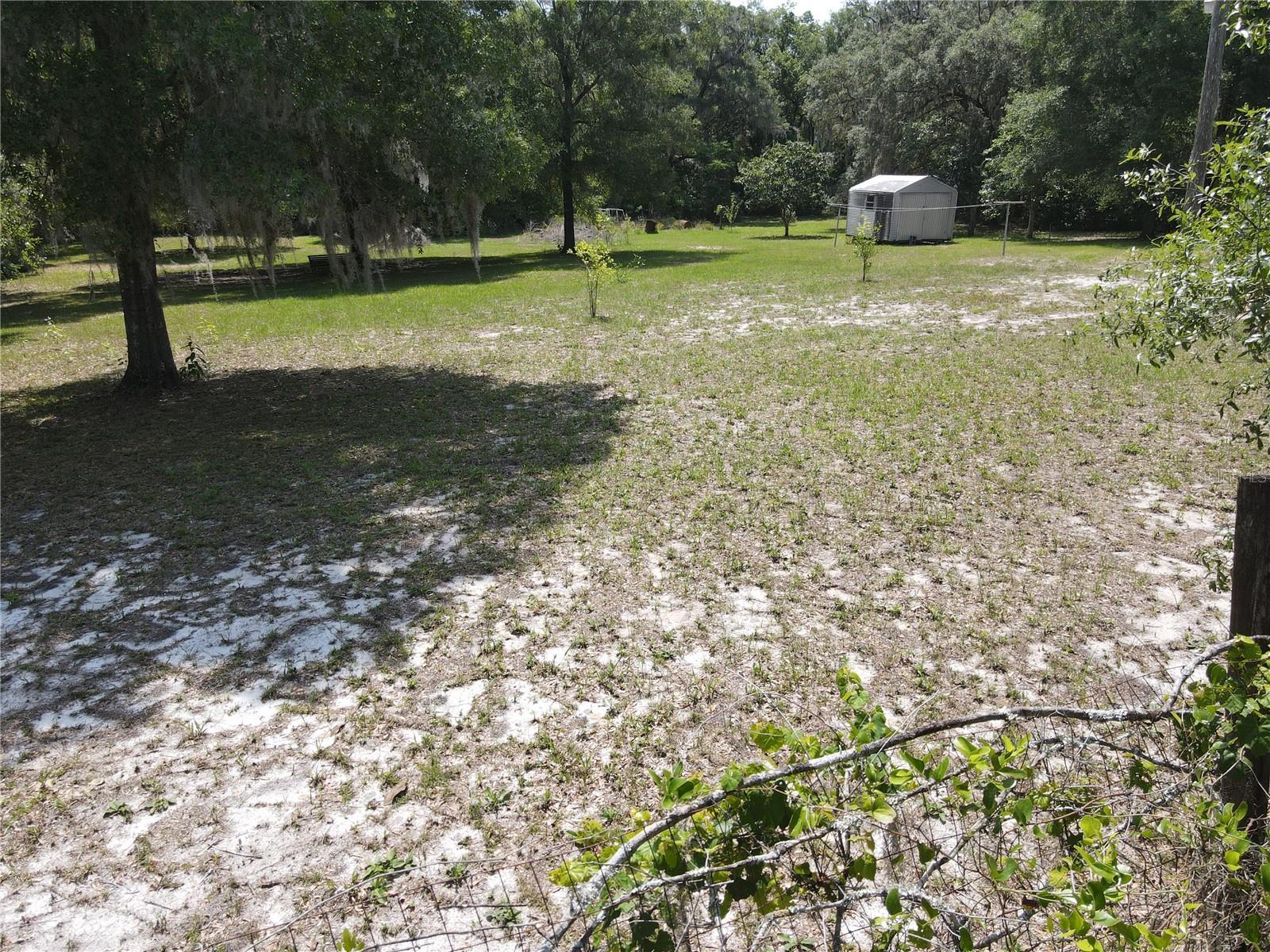 Photo #26