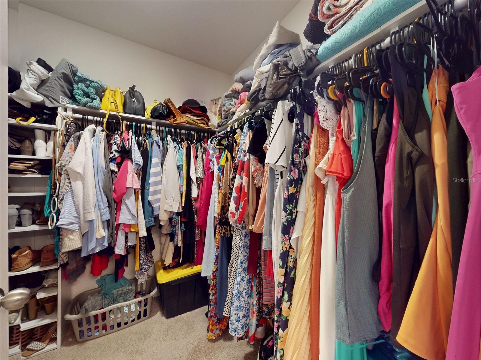 Photo #12