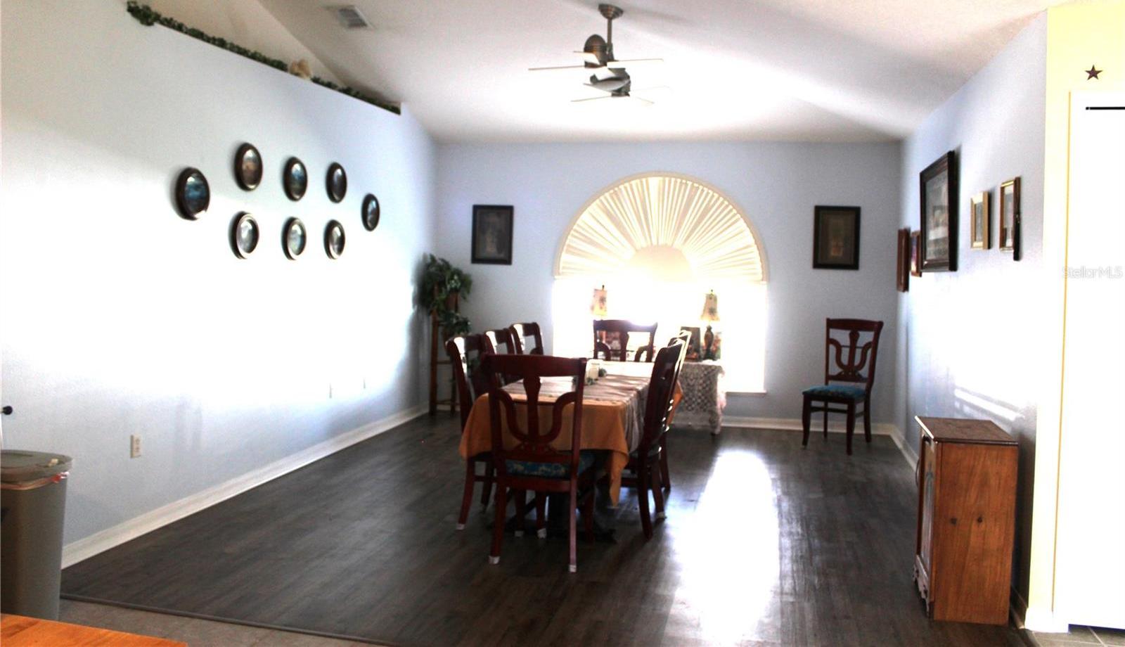 Photo #13