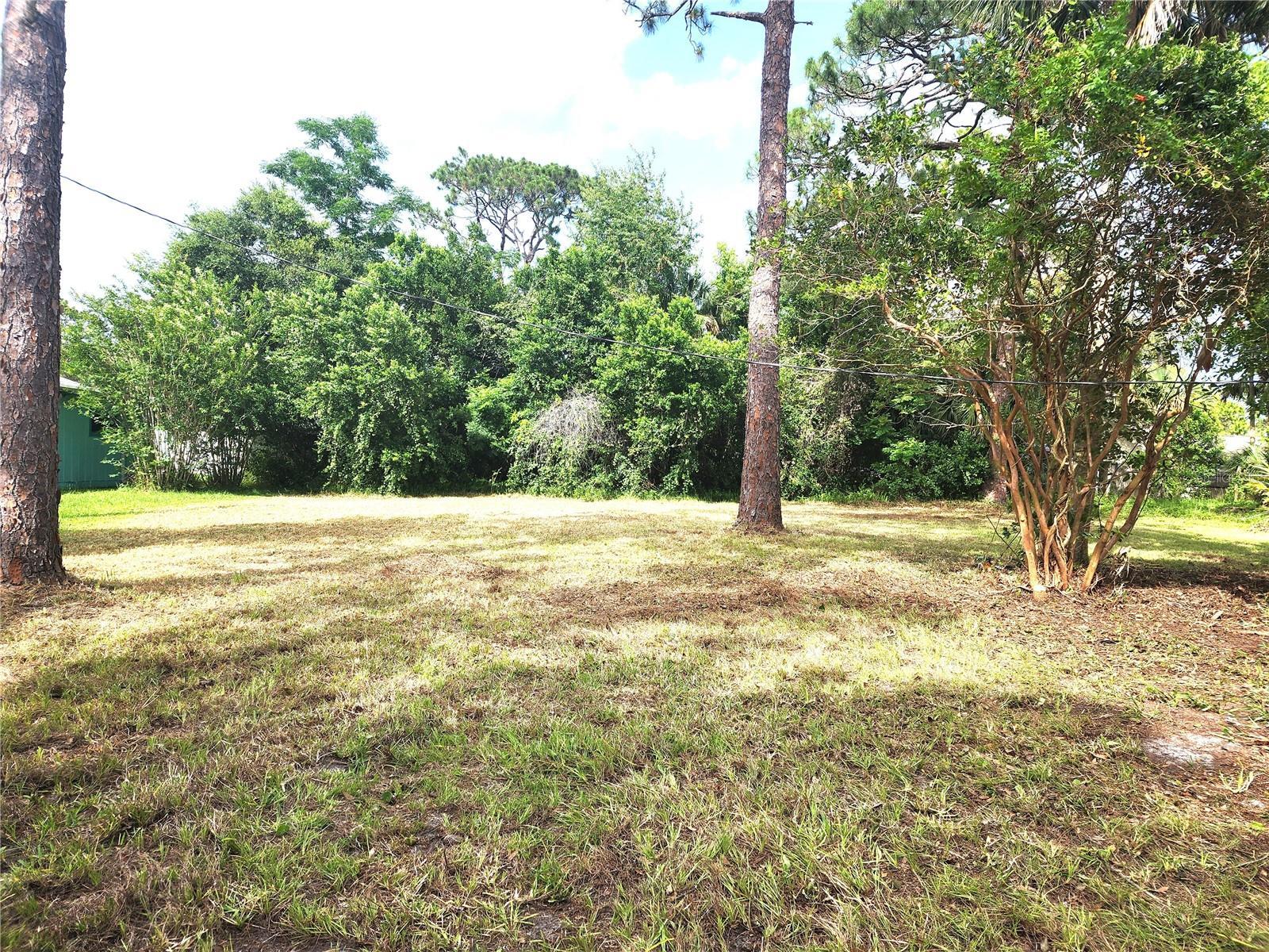 Photo #13