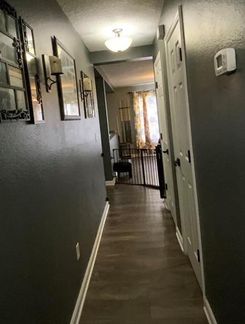 Photo #21