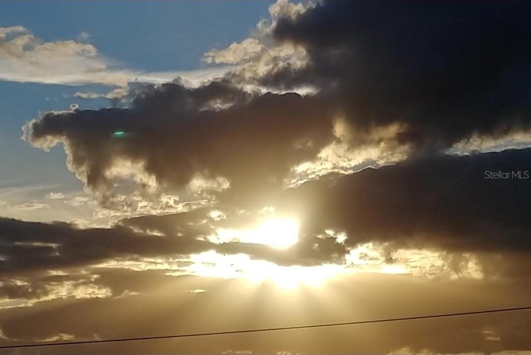 Photo #11