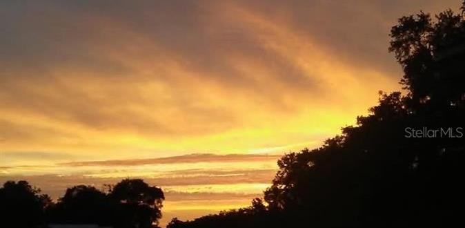 Photo #49