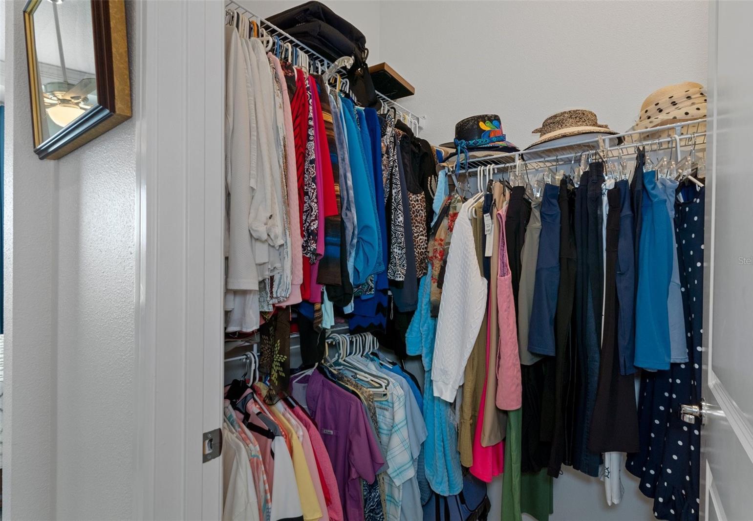 Photo #46