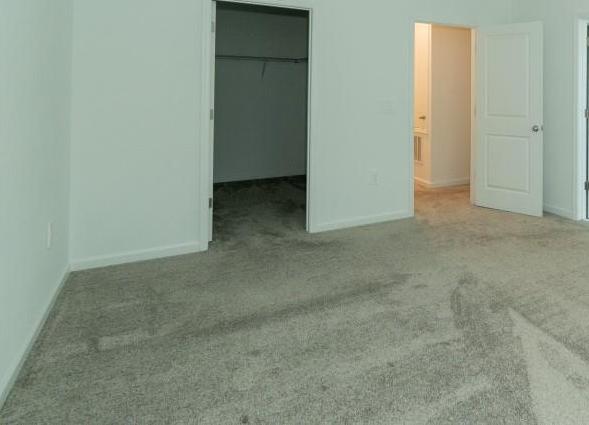 Photo #15