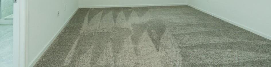 Photo #13