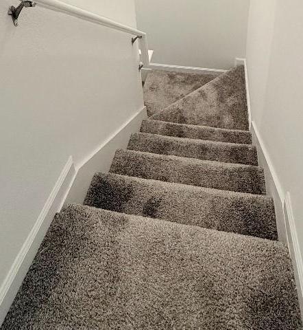 Photo #29