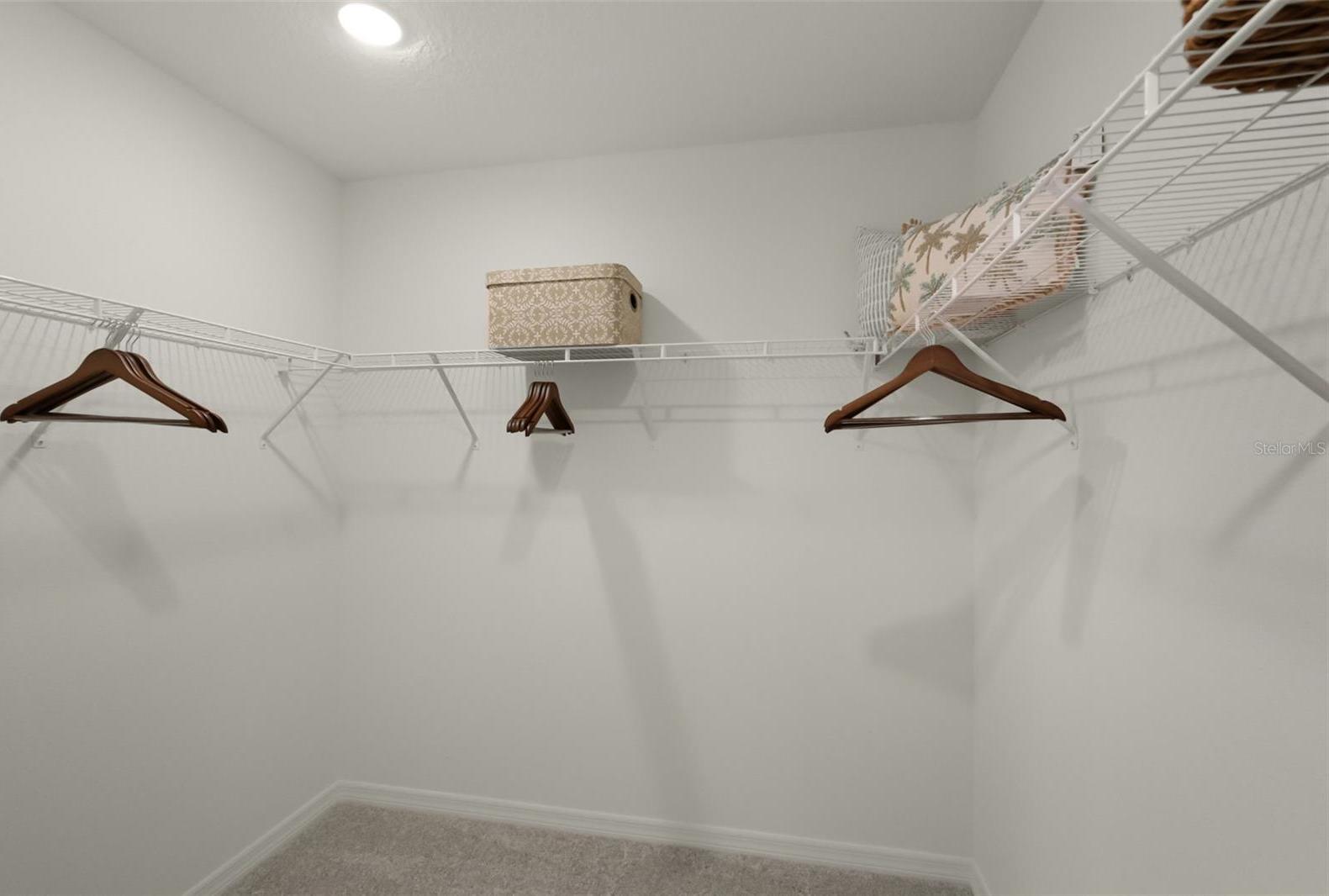 Photo #19