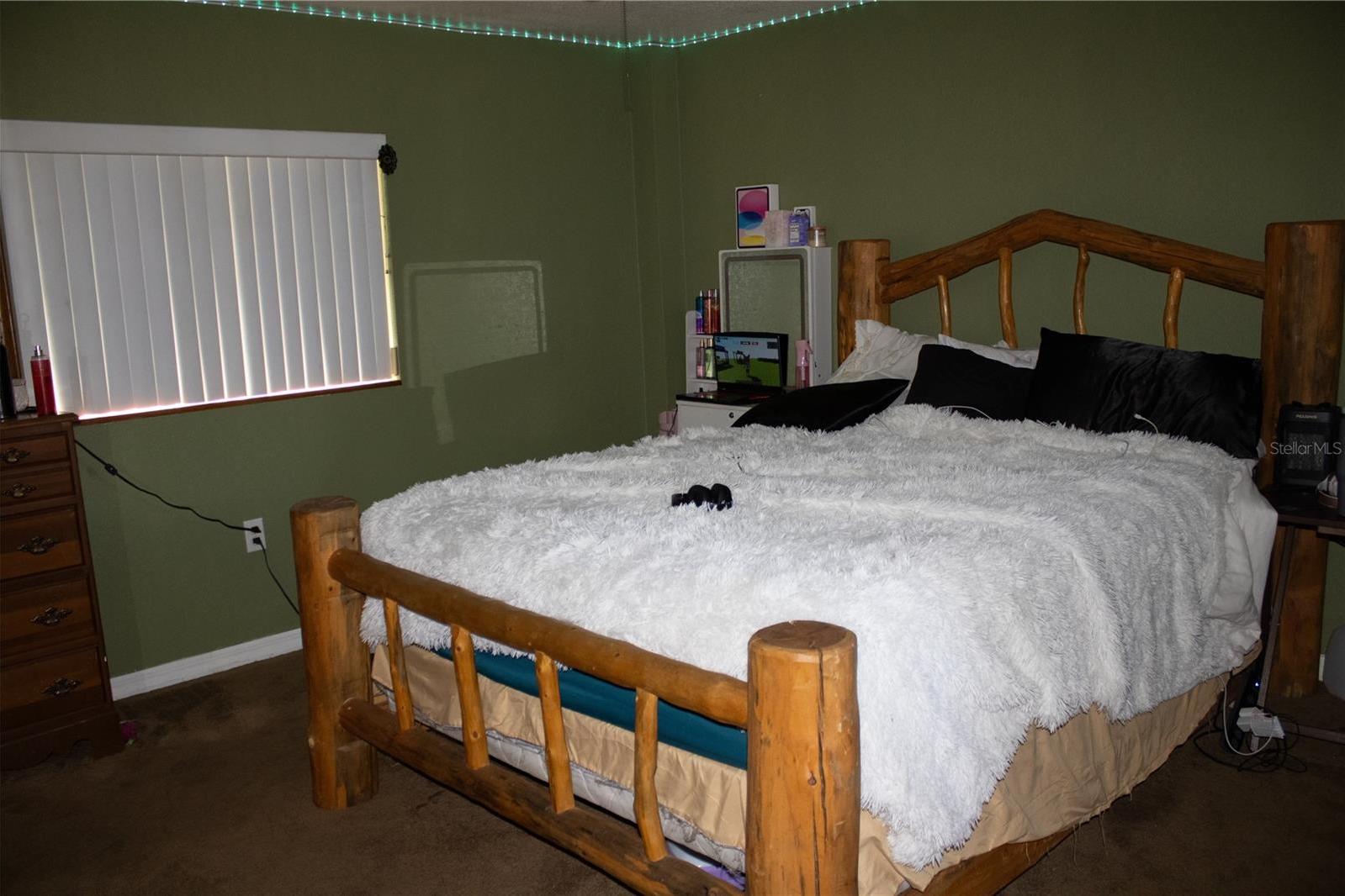 Photo #16