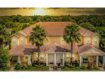 Inviting townhome featuring a well-maintained facade with palm trees and a lush green lawn at 17531 Placidity Ave, Clermont, FL 34714