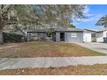 Ranch style home with mature landscaping and a large front yard at 8115 Esperanza St, Orlando, FL 32817