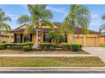 Single-story house with palm trees and landscaped yard at 4014 Sunburst View Cir, Kissimmee, FL 34746