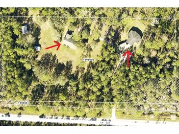 Aerial view of the properties showcasing expansive acreage and wooded surroundings at 10411 County Road 474, Clermont, FL 34714
