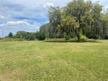 Grassy land with mature trees offering shade and natural beauty at 4151 Boggy Creek Rd, Kissimmee, FL 34744