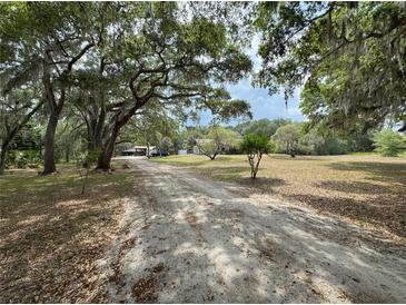 Long, leaf-strewn driveway leading to a home surrounded by mature trees and open land at 486 S Us Highway 1, Oak Hill, FL 32759