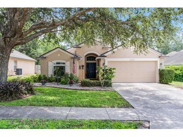 Charming single-story home with a well-manicured lawn, a two-car garage, and beautiful, mature trees at 25216 Ironwedge Dr, Sorrento, FL 32776