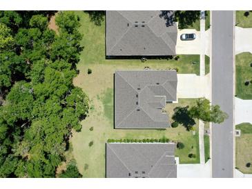 Aerial view of houses showing roofs and landscaping with neighboring street and tall trees at 3029 Adrian Dr, Ormond Beach, FL 32174