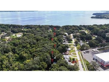 Aerial view showing home, waterfront lot, and surrounding area at 4219 Magnolia Ave, Leesburg, FL 34748