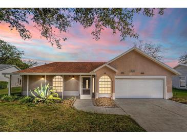 Inviting one-story home with a two-car garage and well-manicured lawn at 2502 Loch Ness Ct, Leesburg, FL 34788