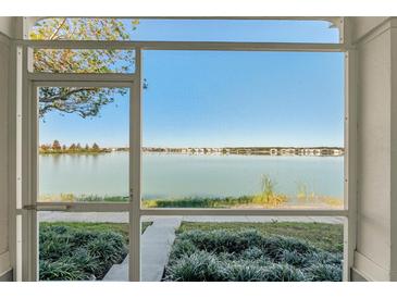 Relaxing screened-in porch offering beautiful views of the tranquil lake and surrounding community at 561 Juniper Springs Dr, Groveland, FL 34736