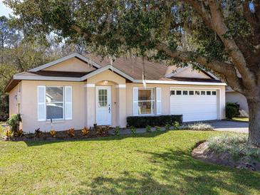 Single-story house with a white door and garage, surrounded by lush green lawn at 880 Vindale Rd, Tavares, FL 32778