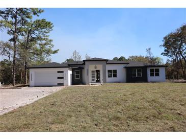 Modern home featuring a light gray color scheme, large front lawn, and an attached two car garage at 42200 Chinaberry St, Eustis, FL 32736