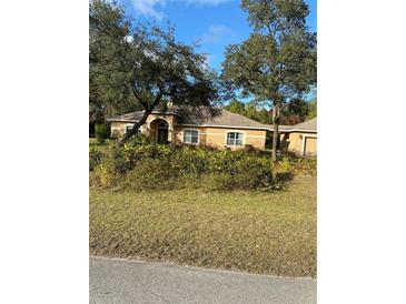 One-story house with tan exterior, landscaping, and a driveway at 30629 Alder Ave, Eustis, FL 32736