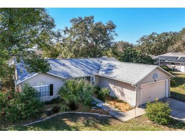 Brick home with mature landscaping and a two-car garage at 36703 Sandy Ln, Grand Island, FL 32735