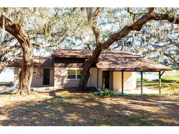 Tan house with brown roof, screened porch, and carport, nestled under large oak trees at 73 N Carol Ave, Mascotte, FL 34753