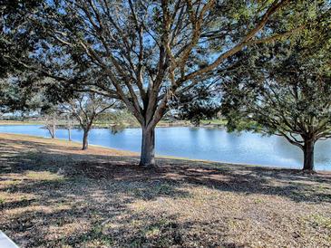 Peaceful lake view with lush green landscape at 8480 Se 167Th Forsyth St, The Villages, FL 32162